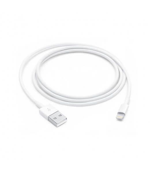 Apple Lightning to USB-A Cable (Standard Quality)
